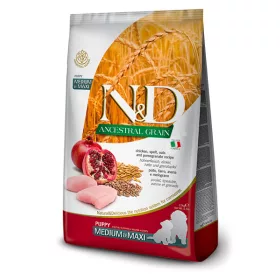   N&D Ancestral Grain Dog Chicken Puppy Medium/Maxi 12kg - kölyök kutya száraztáp csirke, tönköly, zab, gránátalma