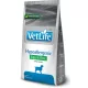Vet Life Hypoallergenic Egg & Rice Dog 2kg