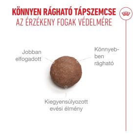 Royal Canin Ageing 15+ 400g - macska száraztáp