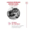 Royal Canin Ageing 15+ 400g - macska száraztáp