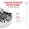 Royal Canin Ageing 15+ 400g - macska száraztáp