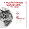 Royal Canin Ageing 11+ 4kg - macska száraztáp