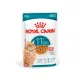 Royal Canin Ageing Gravy 11+ 85g - macska alutasakos