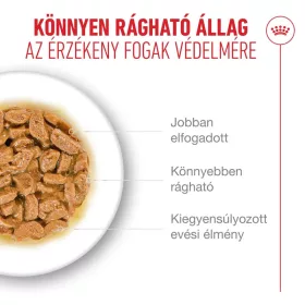 Royal Canin Ageing Gravy 15+ 85g - macska alutasakos