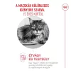 Royal Canin Ageing Gravy 15+ 85g - macska alutasakos
