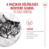Royal Canin Ageing Gravy 15+ 85g - macska alutasakos