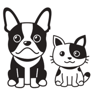 Royal Canin kutya szárazeledel