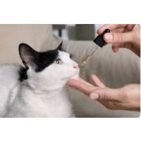 Bőr- és szőrerősítő táplálékkiegészítő folyadékok