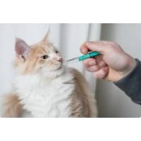 Bőr- és szőrerősítő táplálékkiegészítő paszták