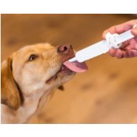 Emésztőrendszert támogató táplálékkiegészítő paszták, folyadékok